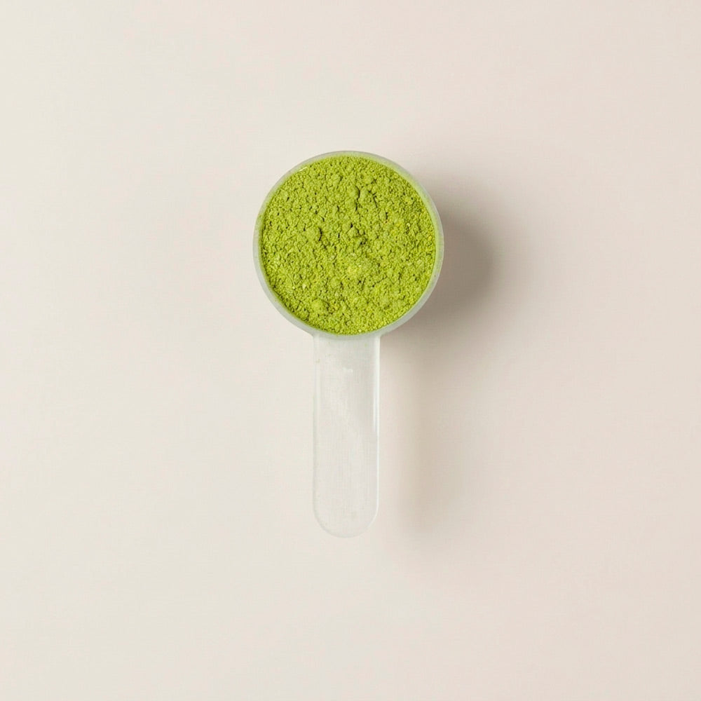 Matcha Detox Green (SOLO HOY)