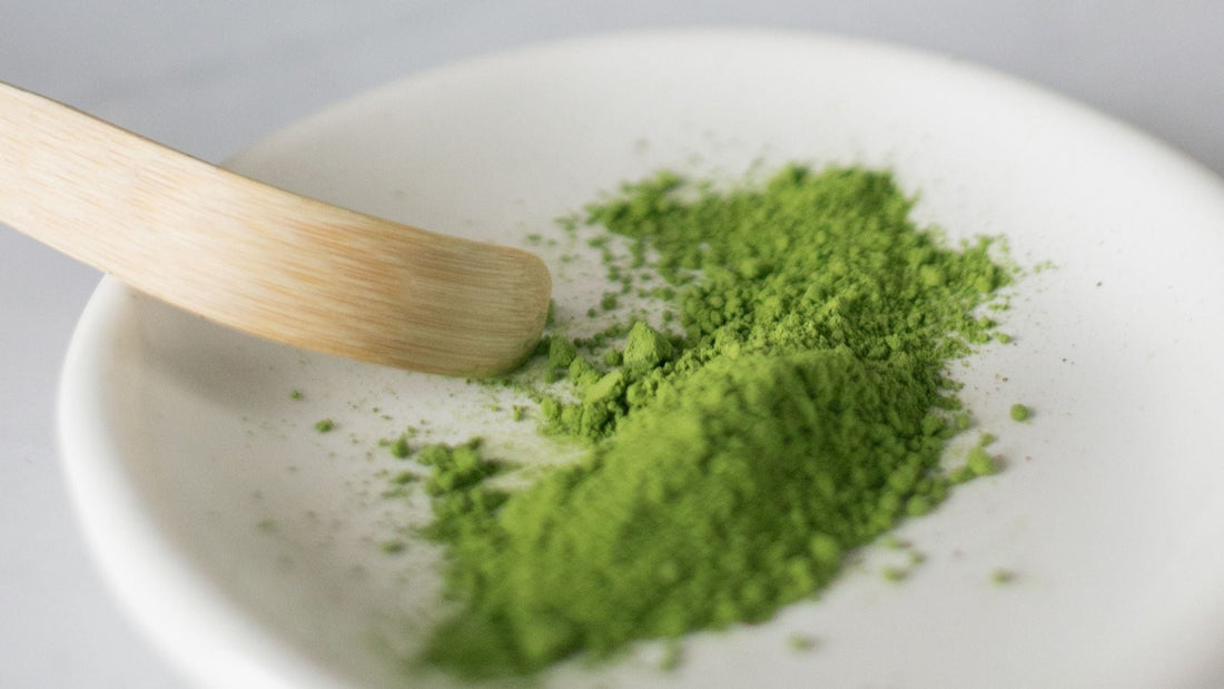 Té Matcha, el superalimento que revolucionará tu vida