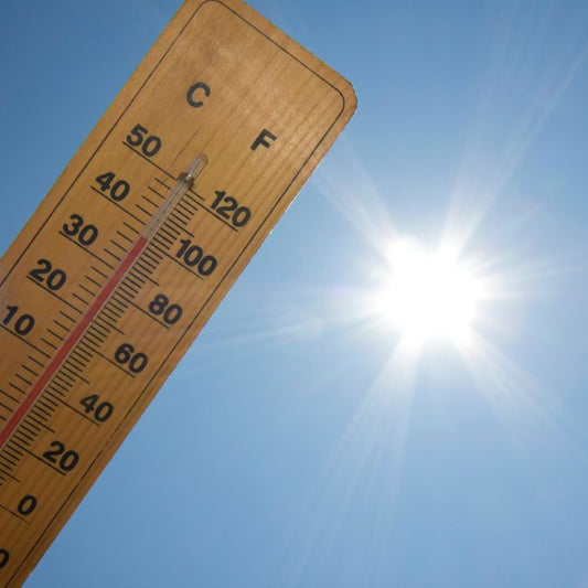 6 consejos para combatir el calor