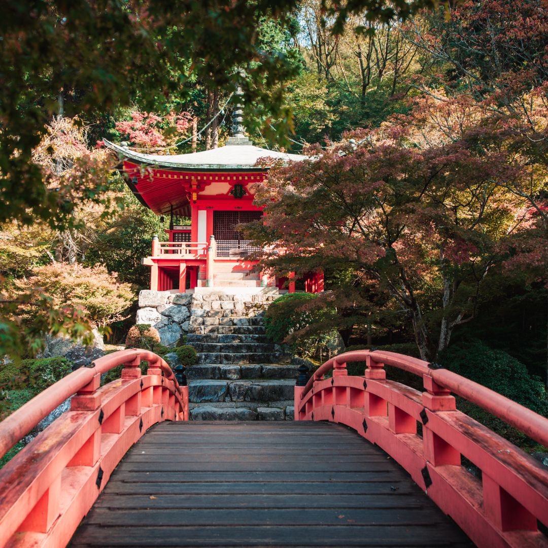 La Cultura del Matcha: Tradiciones Japonesas en Verano (II)