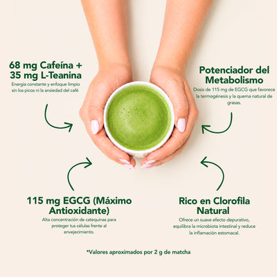 Daily Thé Matcha Cérémonial