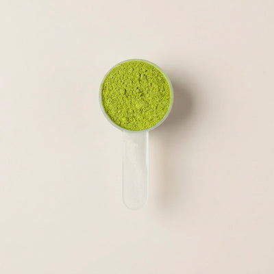Matcha Detox Green (SOLO HOY)