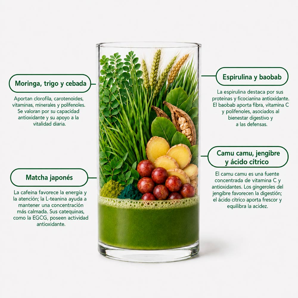 Matcha Detox Green (SOLO HOY)